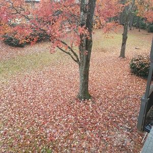 Meet your Posher, Annesha